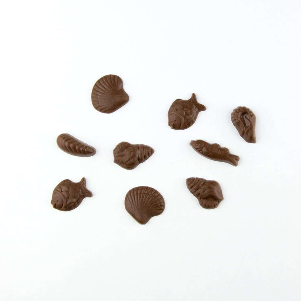 Chocolate Seashells