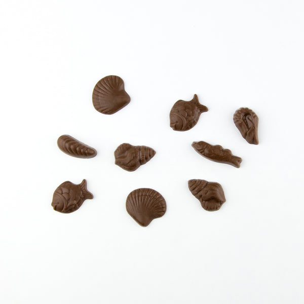 Chocolate  Seashells
